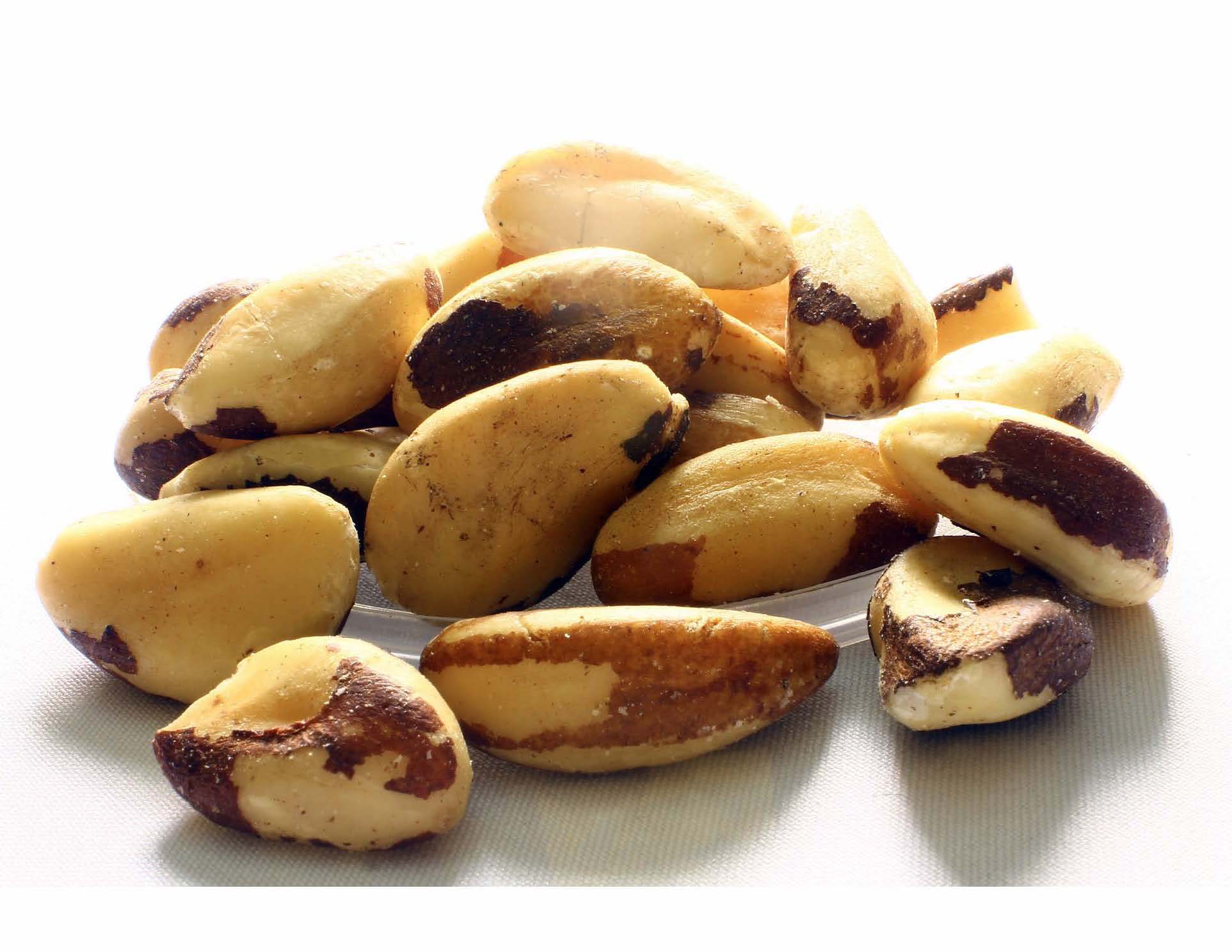 Brazil Nuts Photo1
