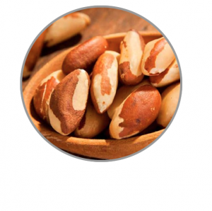 Brazil-nut